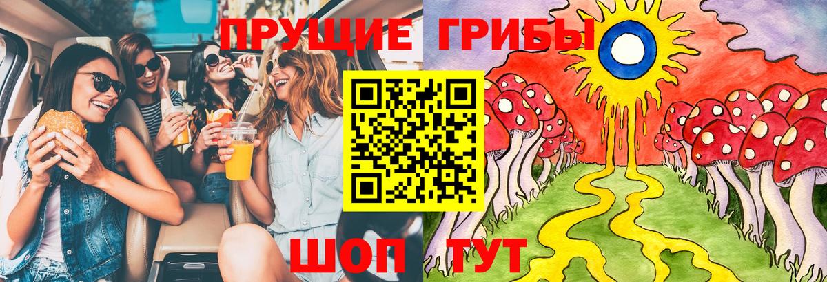 Псилоцибиновые грибы Cubensis Тула
